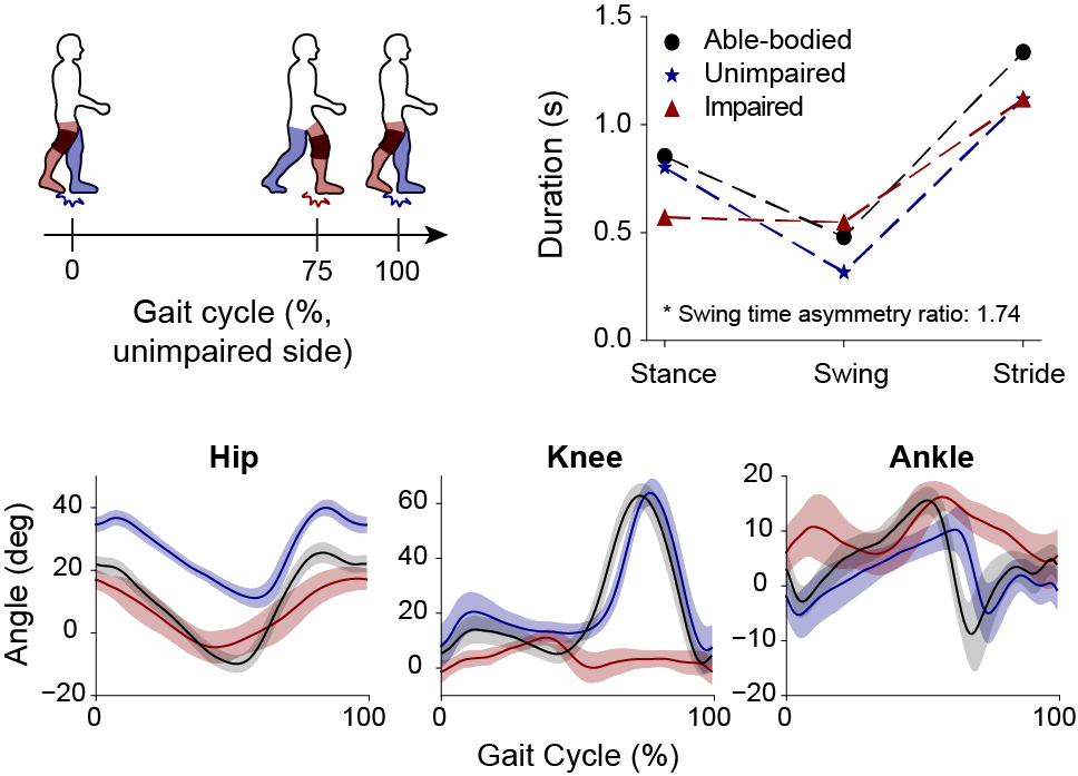 Hemiplegic gait emulation setup